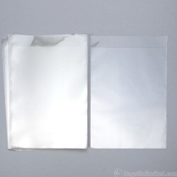 POLYESTER (Mylar) Sleeve for Early